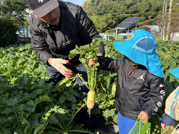 ]노인일자리 나눔봉사단 세대통합 텃밭 체험 프로그램 (1)