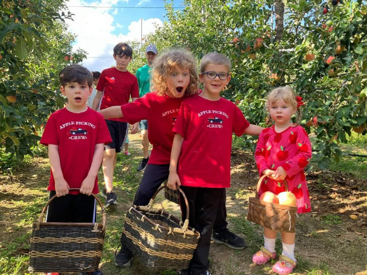 2.제22회 예산사과와인페스티발 현장 모습(사과따기 체험) (1)