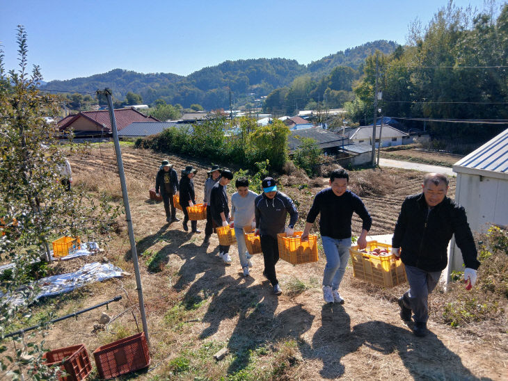농촌일손돕기 (금산군의회 사진제공)