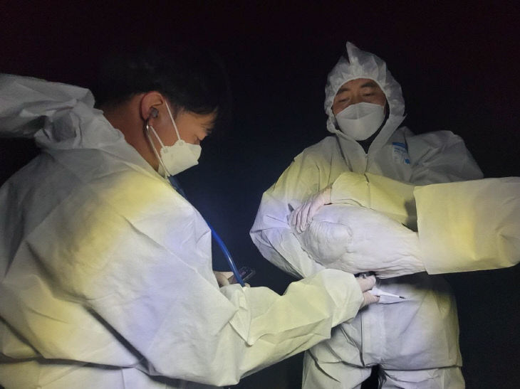 1.황새를 진찰 중인 수의사