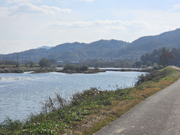 봉황천 상류 상습 침수피해 구역