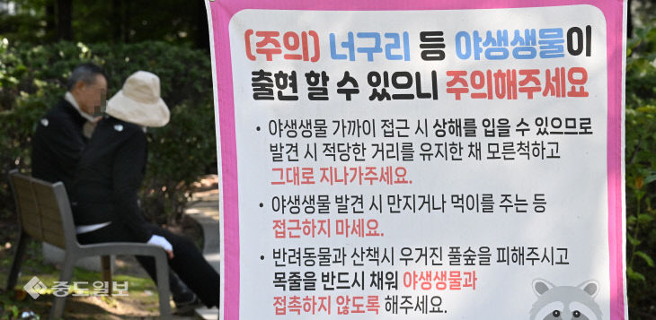 20251105-야생동물 주의보