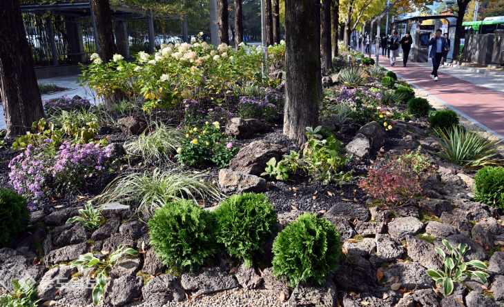 20251105-시민애뜰 공사 마무리