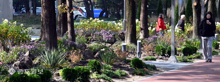 20251105-시민애뜰 공사 마무리2