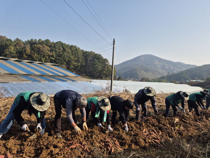 농촌봉사활동(2차)_4