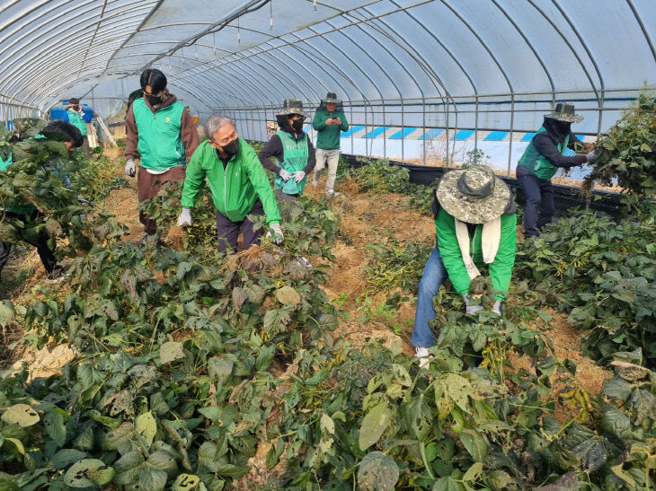 농촌봉사활동(2차)2 (2)