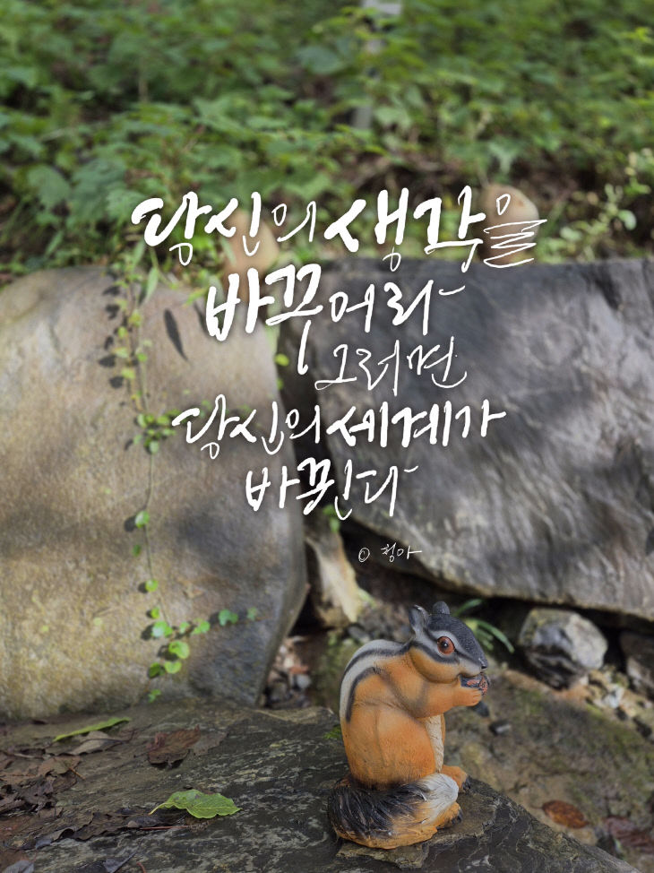 KakaoTalk_20251028_140635428