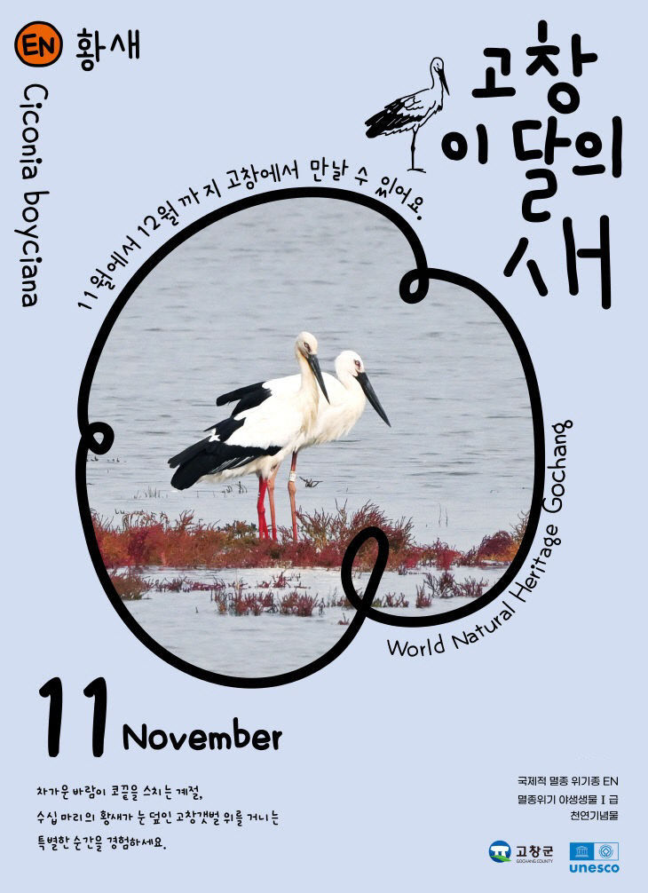 2025110501000340600013421