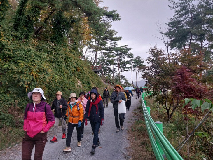 11.6.가을따라! 숲길따라!