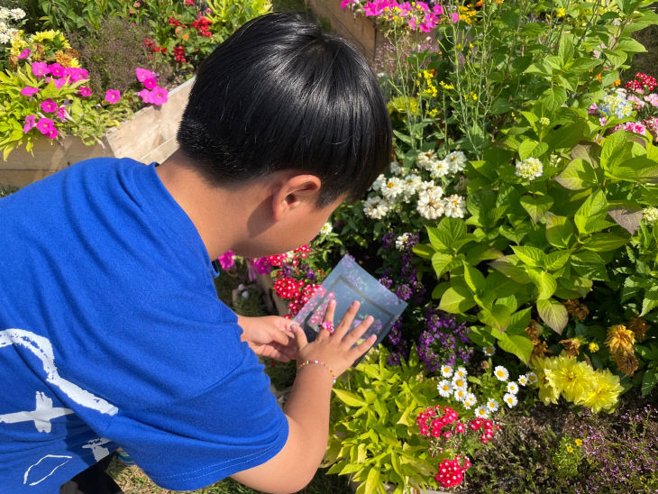 충북교육청, 가을의 탄탄숲에서 배우는 지구의 순환 사진 2