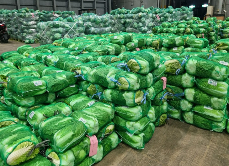 8. 대전 노은농수산물도매시장, 김장시장 개설