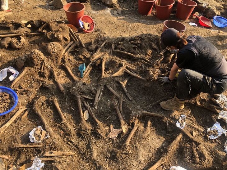 2024042501002010600079561