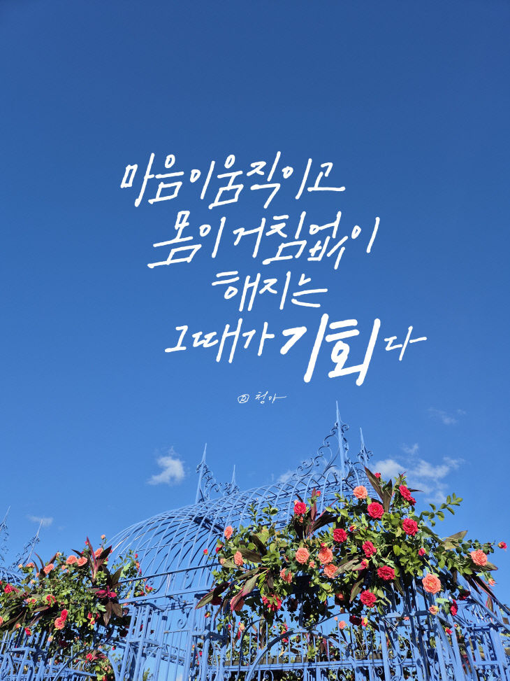 KakaoTalk_20251031_081402033