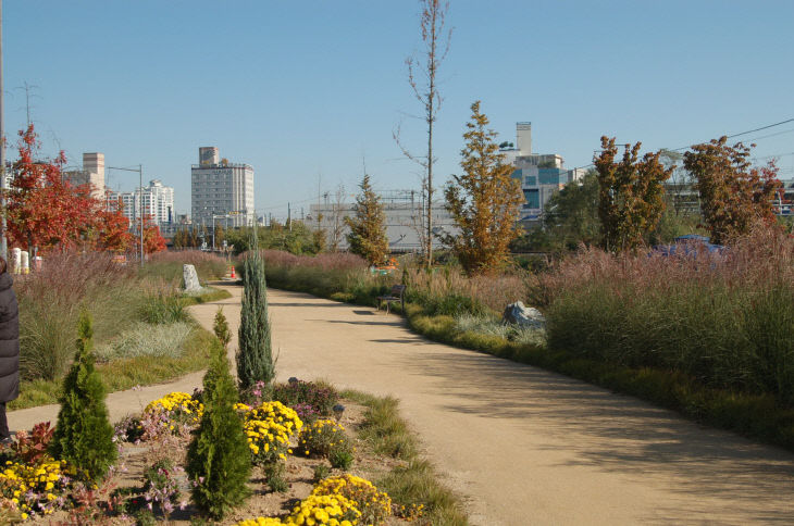 청주시 오송물결정원, 주민 손길 더해 가을정원으로 변신.