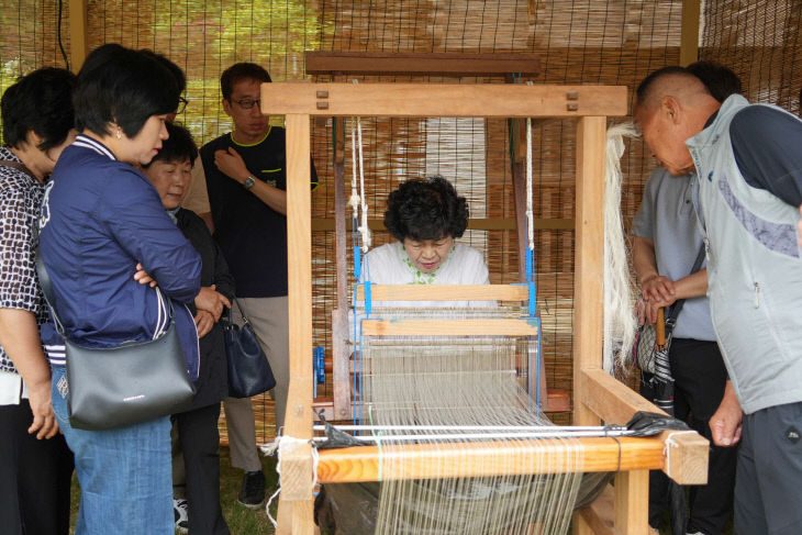 한산모시 제작과정을 살펴 보고 있는 관광객들