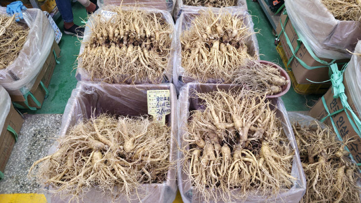 KakaoTalk_20251109_152243550_15