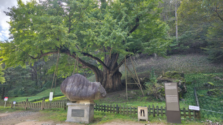 KakaoTalk_20251109_152243550_26