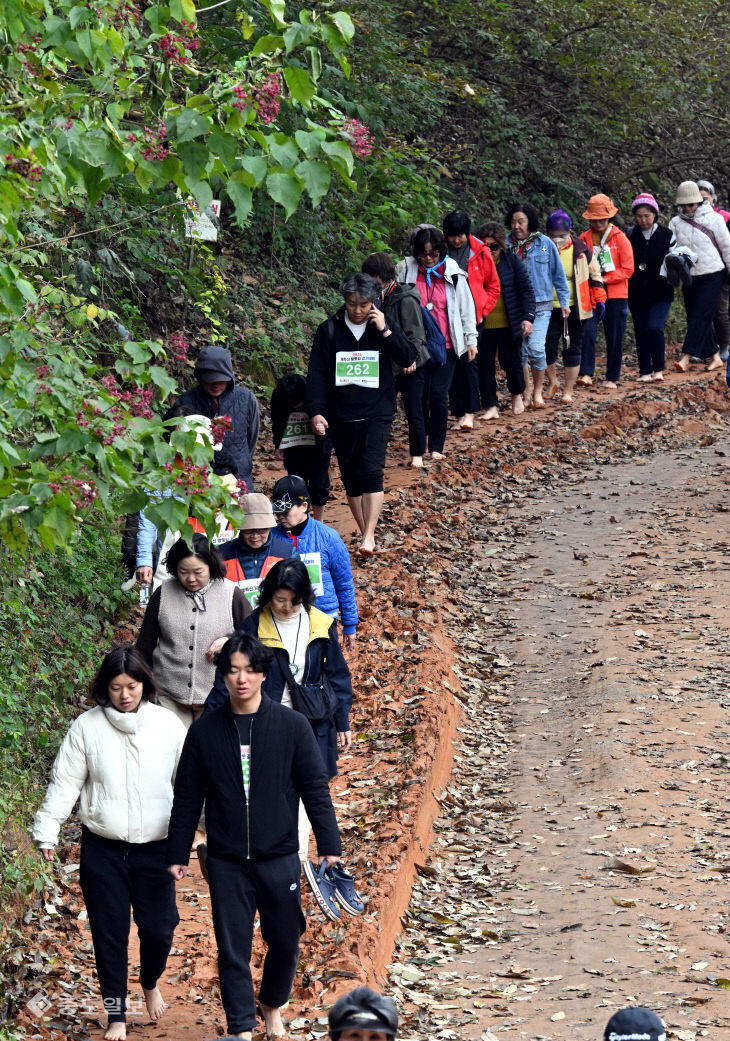 20251109-계족산 황톳길 걷기대회8