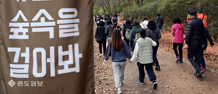 20251109-계족산 황톳길 걷기대회1