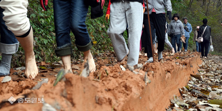 20251109-계족산 황톳길 걷기대회2