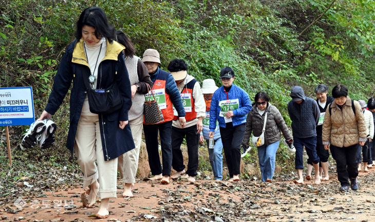 20251109-계족산 황톳길 걷기대회14