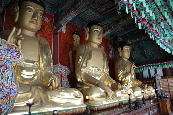 송광사 삼세불의 보수 및 개금공사 시행(2006)