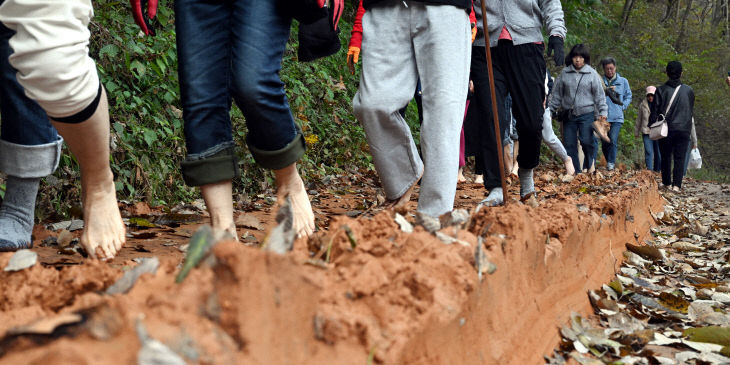 20251109-계족산 황톳길 걷기대회2