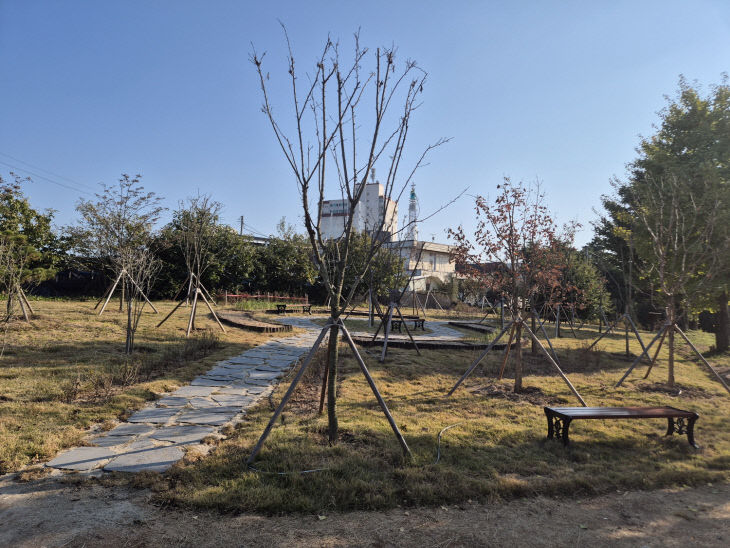 5.삽교초등학교 ‘학교숲’ 조성 모습