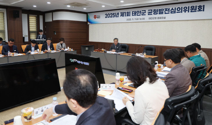 2. 균형발전심의위원회 개최 2