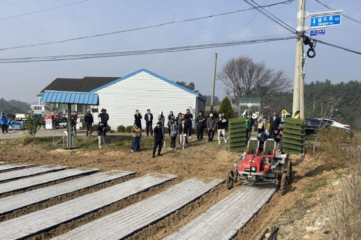 3. 양파 기계 정식 현장 시연회 2