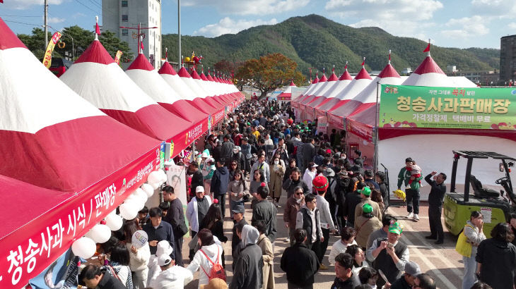 스 매출 10억 원 돌파) (1)