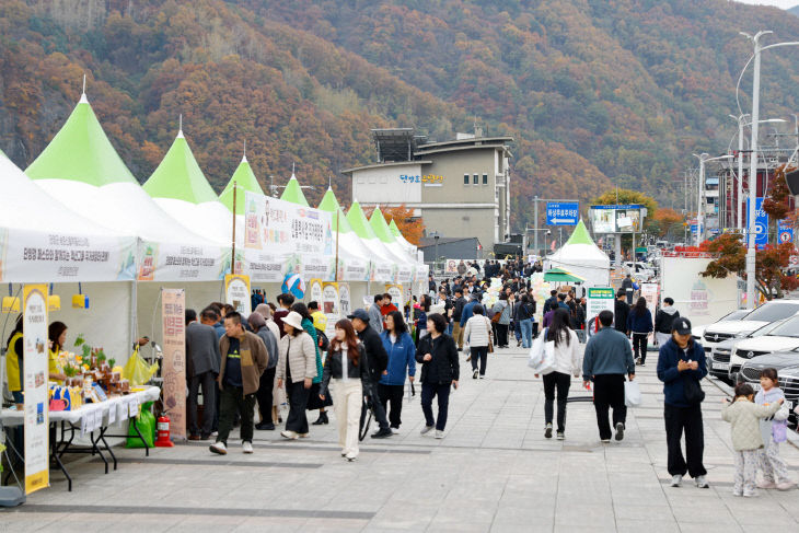 보도 1) 단양갱 페스타(1)