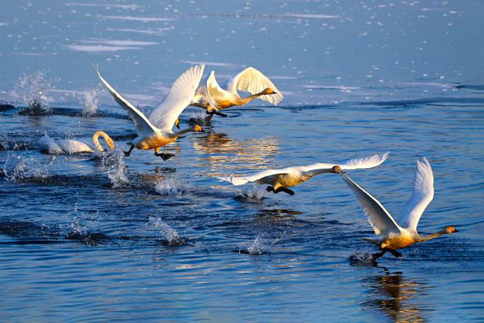 KakaoTalk_20251111_103109584