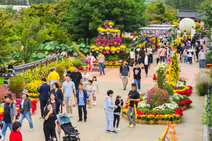 1112 계양아라온, 3천만 송이 가을꽃 물결 속 41만 명 발길 (6)