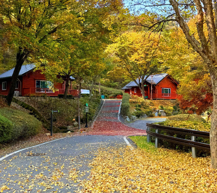 2.봉수산 자연휴양림 단풍 모습 (3)