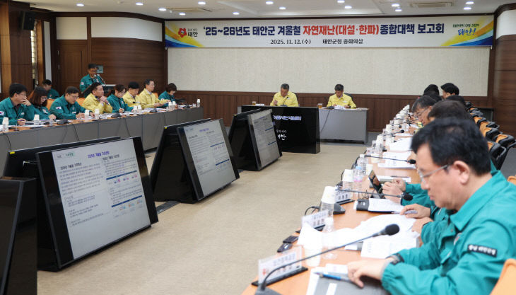 3. 겨울철 대설 한파 대비 종합대책 보고회 2