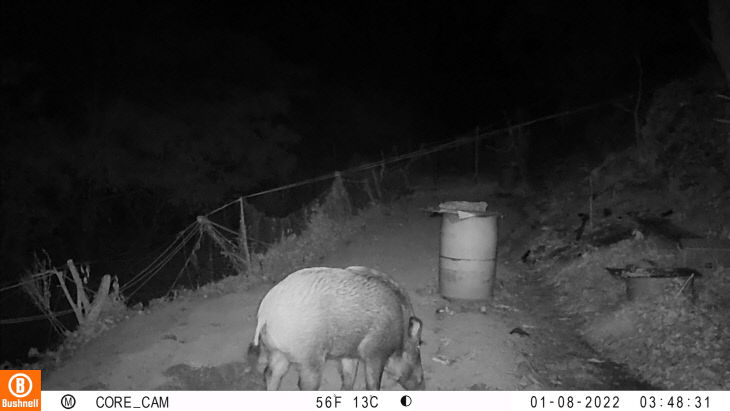 획을 위한 피해방지단 파견)