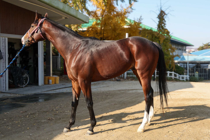 한국마사회 마이엠파이어