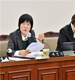 배영숙 시의원.부산시의회 제공