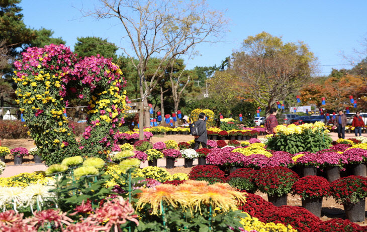 태안 국화축제 폐막 4