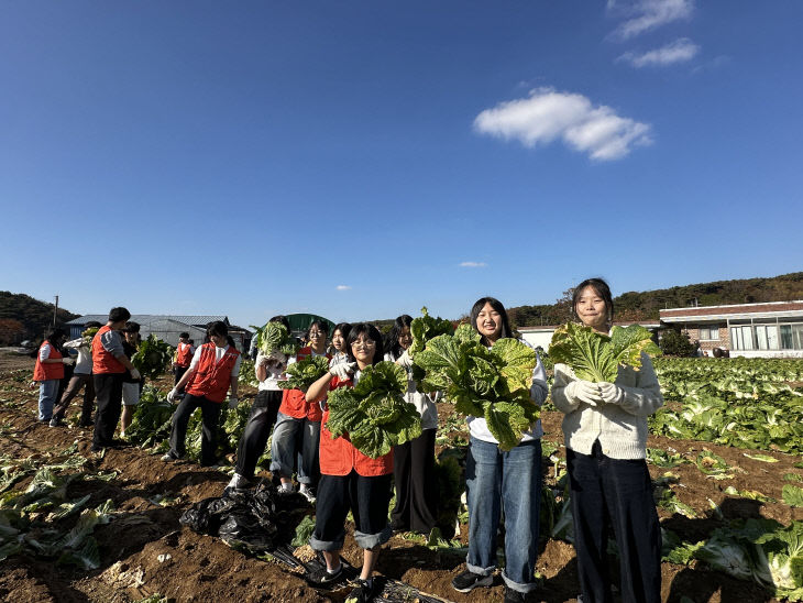 사본 -배추봉사 사진