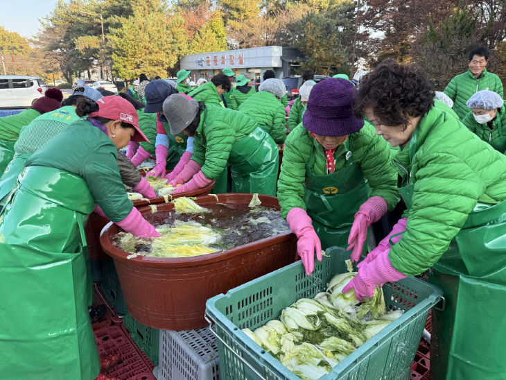 새마을회 사랑의 김장 나눔(3)