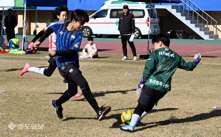 20251115-풋살최강전1