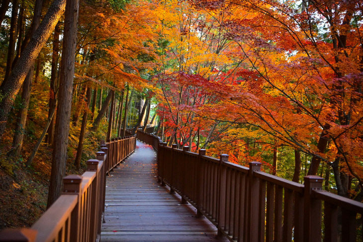 진주시, ‘진양호 노을길 준공 기념 걷기 행사’오는 24일