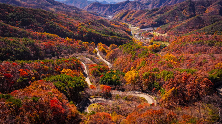 1. 영동 도마령, 짙