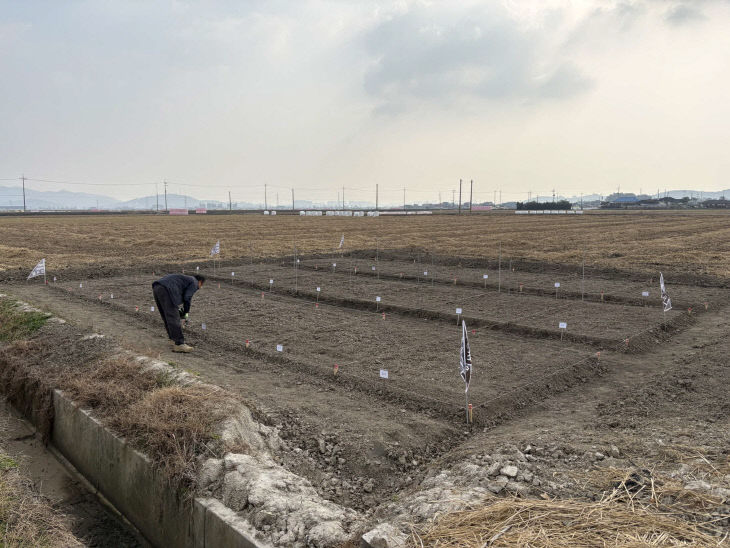 서천군이 고품질 조사료 생산을 위한 연구사업을 본격 추진한다