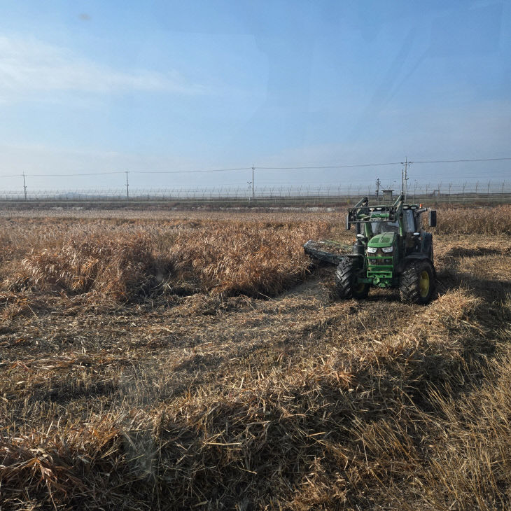 한강하구+자생+갈대+수거+(1)
