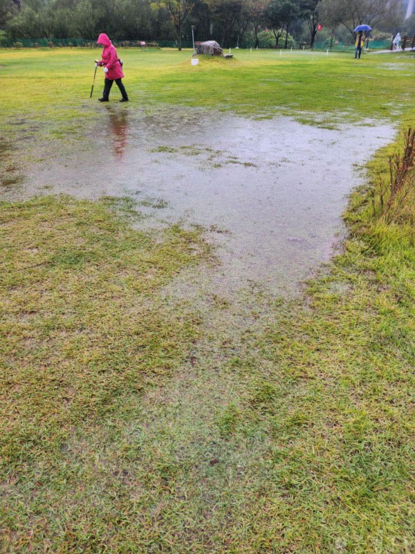 제천시장기 파크골프대회