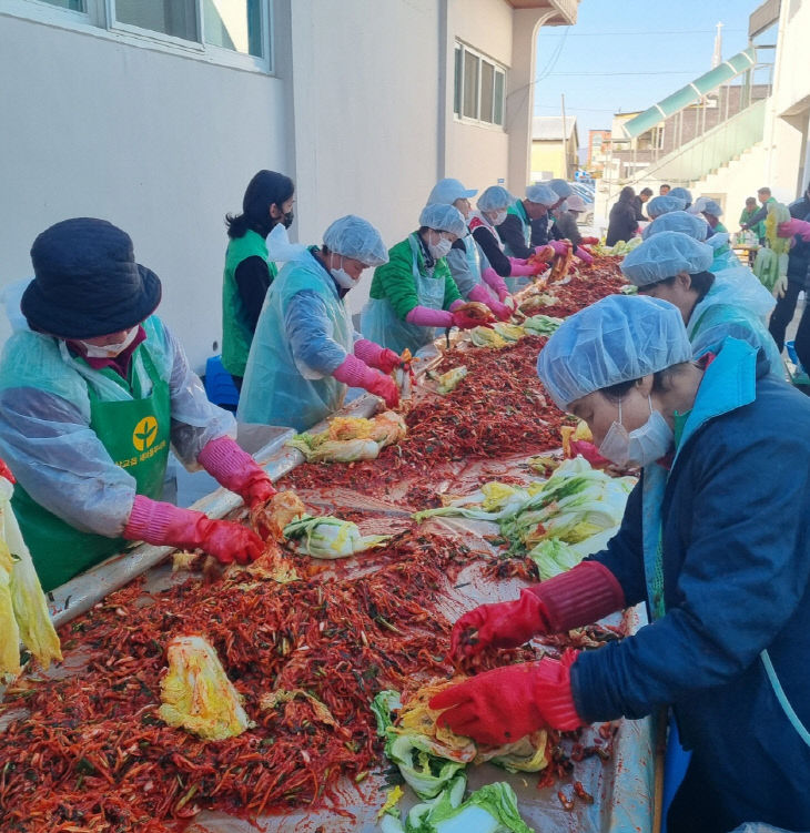7.새마을회 회원들이 김장 담그는 모습
