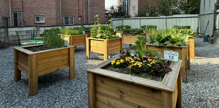 내덕동 텃밭농장2